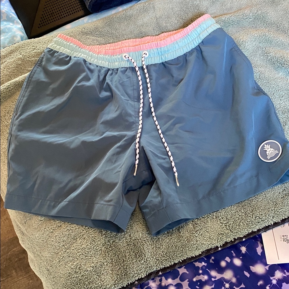Chubbies Pink and Blue Mesh Shorts NWOT